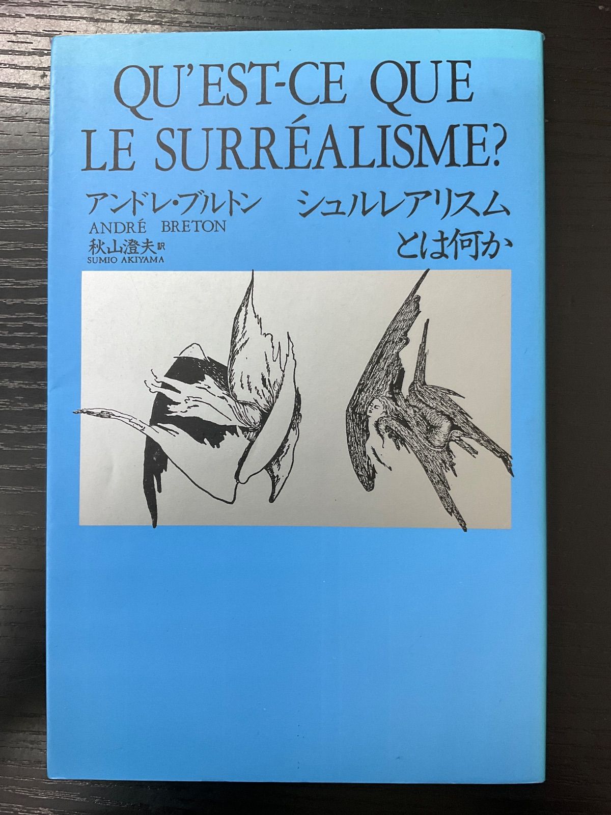シュルレアリスムとは何か アンドレブルトン 秋山澄夫 思潮社 - メルカリ