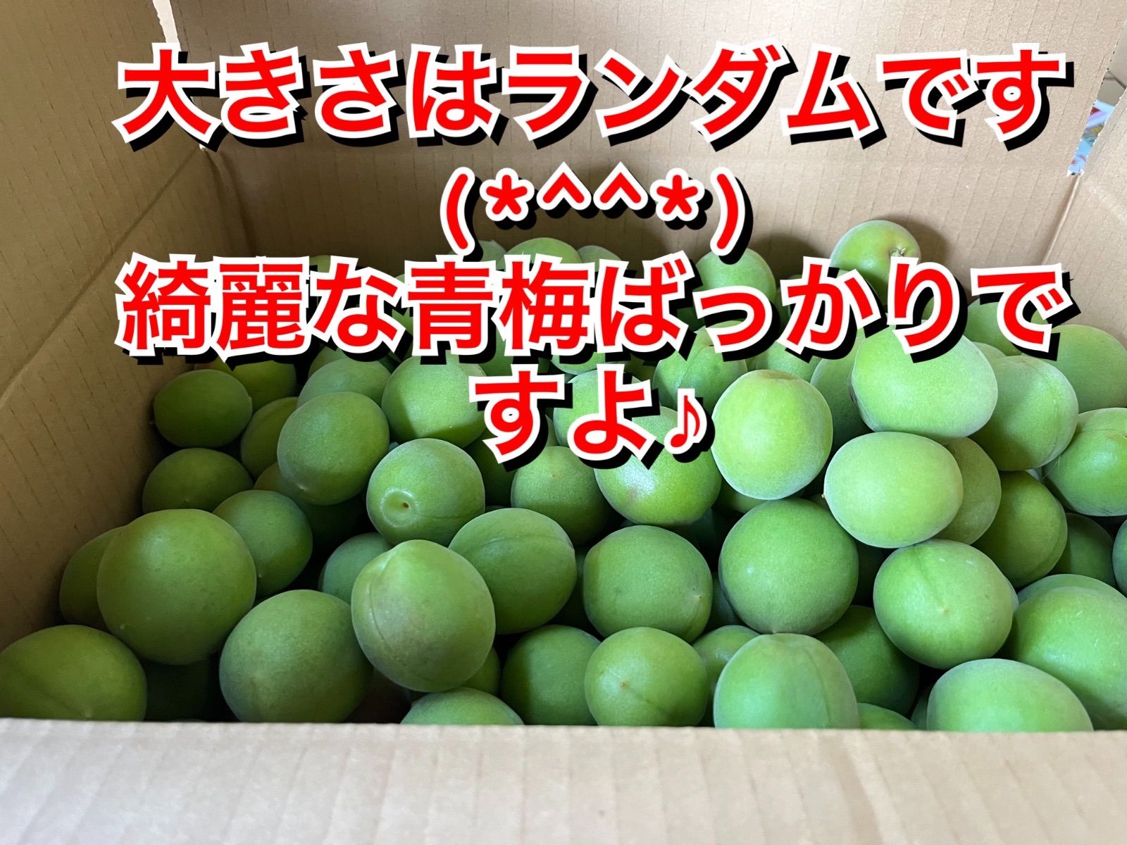 予約販売 青梅 正品 15キロ 6月上旬発送 梅 なおキングの梅 【公式通販】