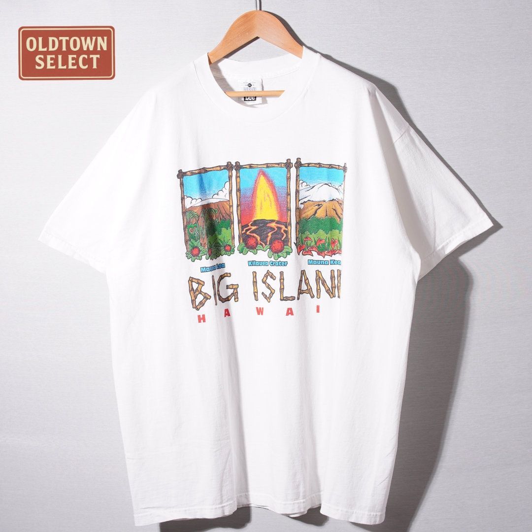 90s USA製 ハワイ Tシャツ ヴィンテージT 90s XL ホワイト ビッグ 