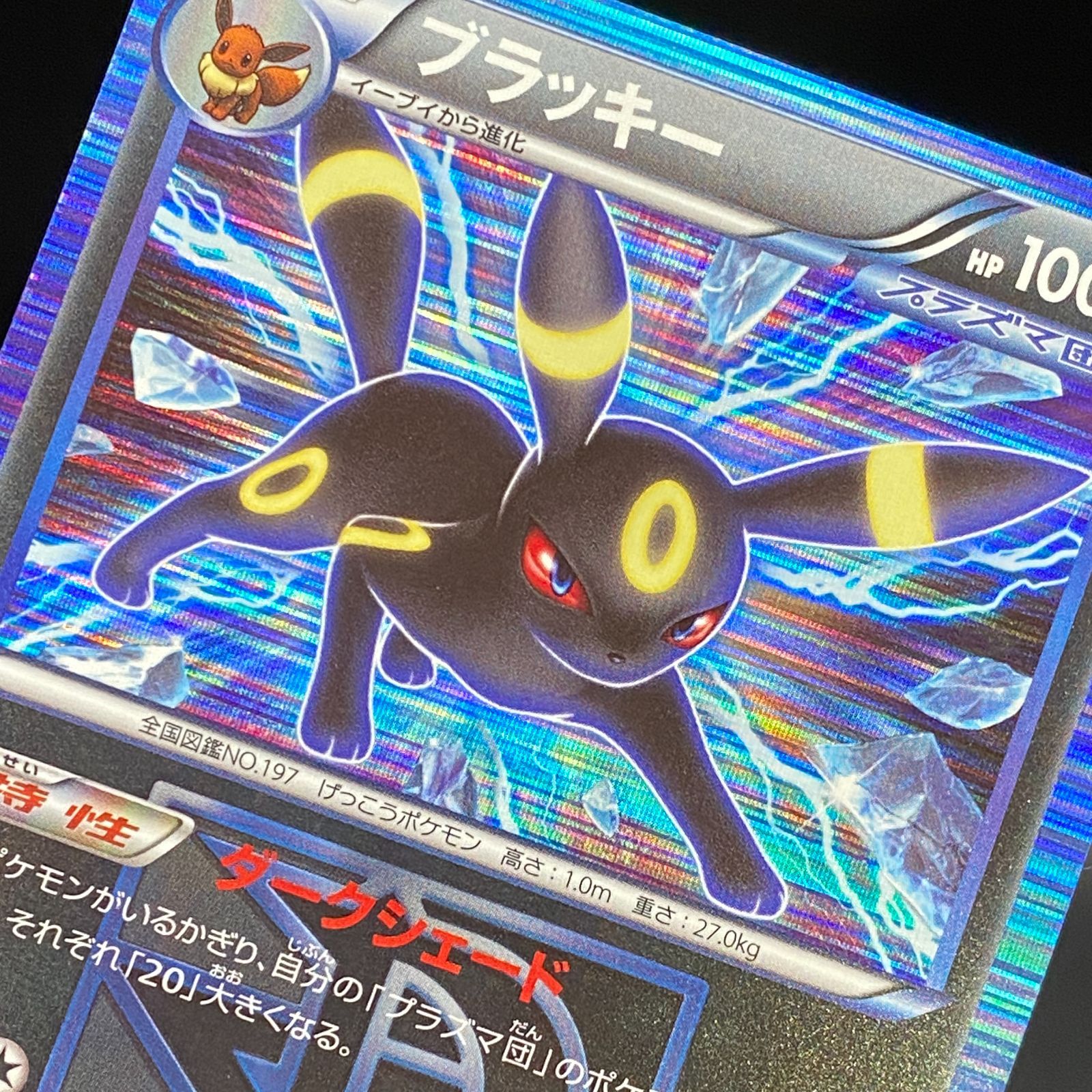 ポケモンカード ポケカ ブラッキー R BW8-031 051 拡張パック