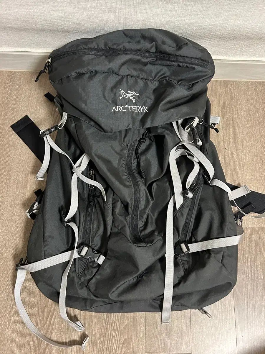 ARC'TERYX アークテリクス アルトラ48 テント バックパック