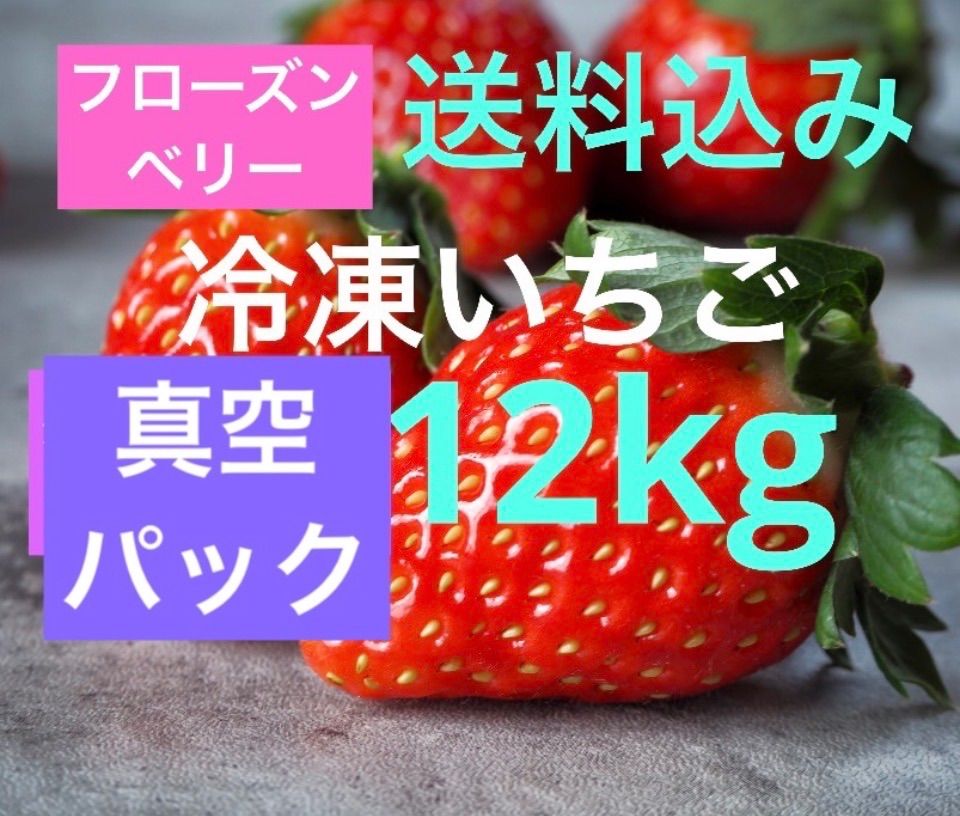 冷凍いちご 12kg 完熟とちおとめ バラ凍結 - メルカリ