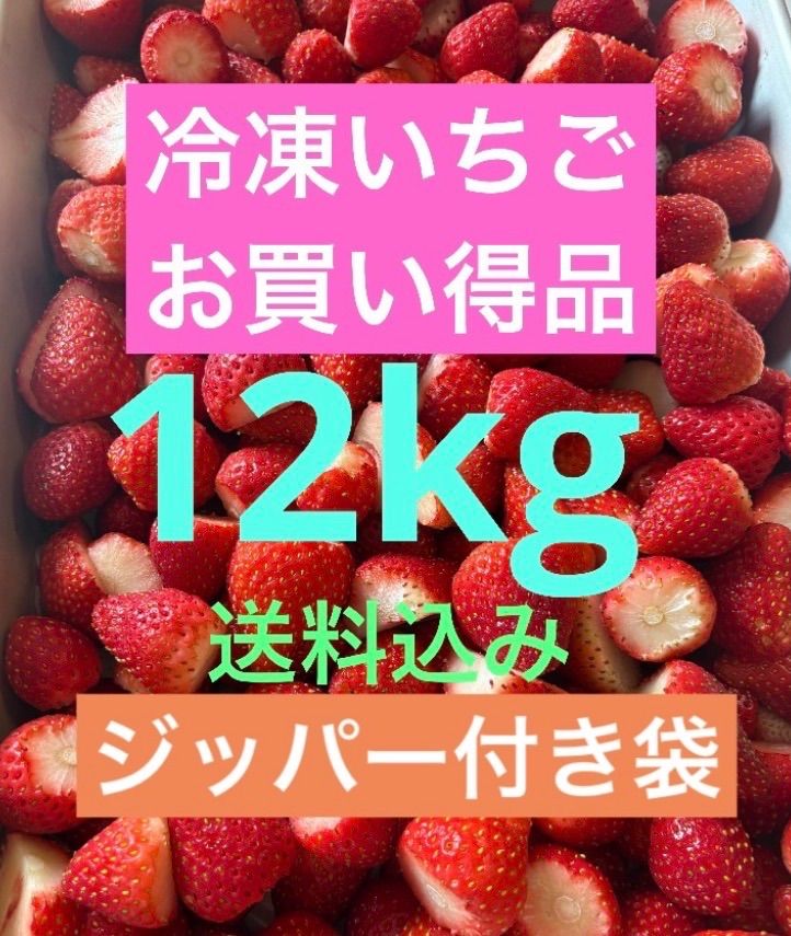 冷凍いちご12kg 完熟とちおとめ【お買い得品】 - メルカリ