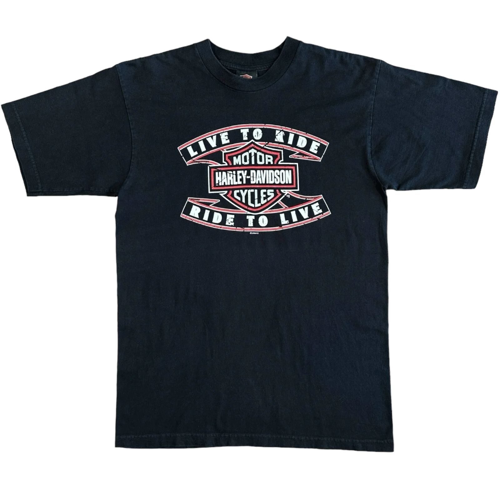 Harley Davidson 00's Manheim PA Tee L