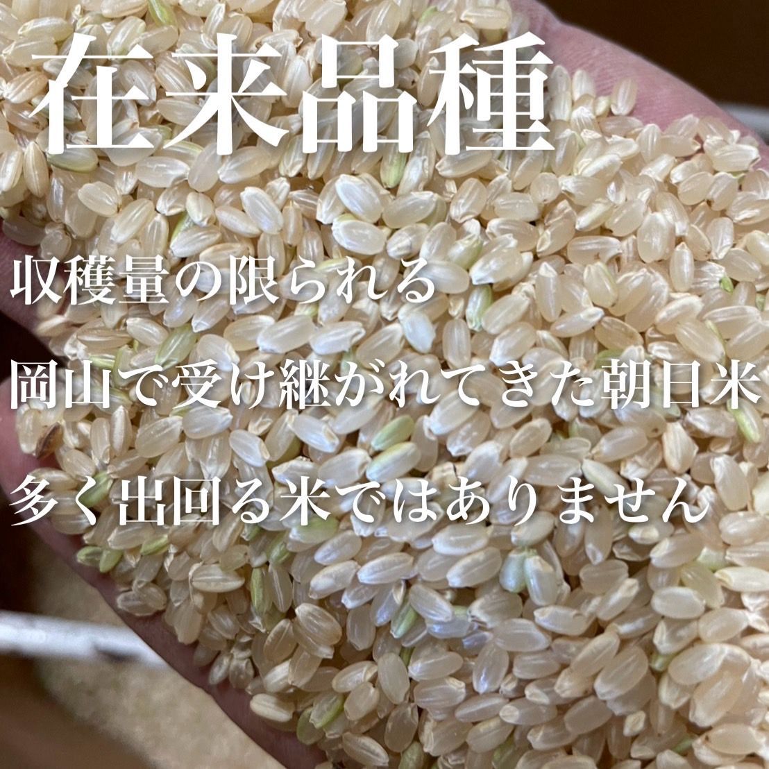 自然栽培 朝日米 10kg 令和7年産 岡山県倉敷産 玄米・白米 - メルカリ
