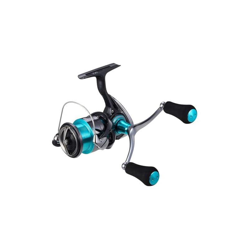 ダイワ(DAIWA) エギング専用リール 24エメラルダス X LT2500-DH
