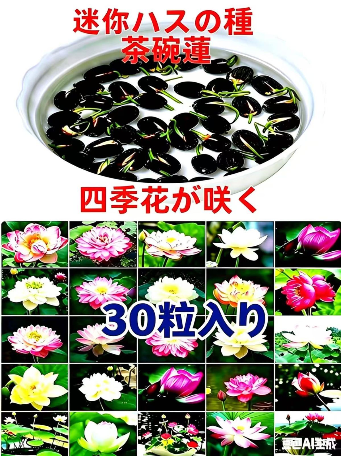 大量茶碗はすの種　500粒 ミニハスの種 茶碗蓮 ハスの種 蓮の種 屋内外植付け可能 お得な値段