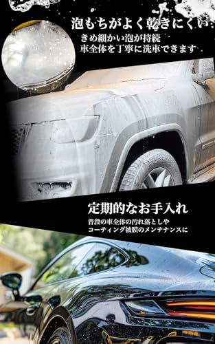 プロスタッフ(Prostaff) 洗車用品 カーシャンプー トライアルセット モンスター 3pH-S 限定セット 汚れ徹底洗浄 実感シャンプーセット 国内発送