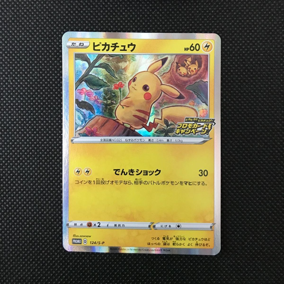 HaneAmeサイン入りブロマイド11 HaneAmeサイン入りブロマイド11