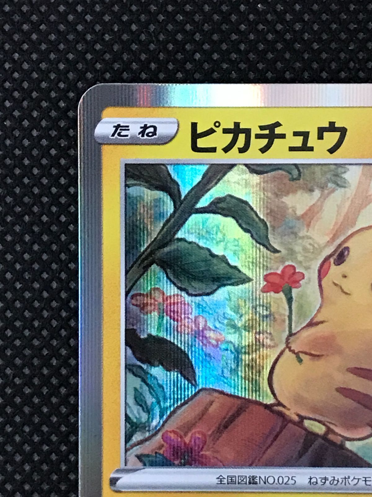 ピカチュウ 124/S-P プロモ [2533] ピカチュウ: プロモ P [S-P 124
