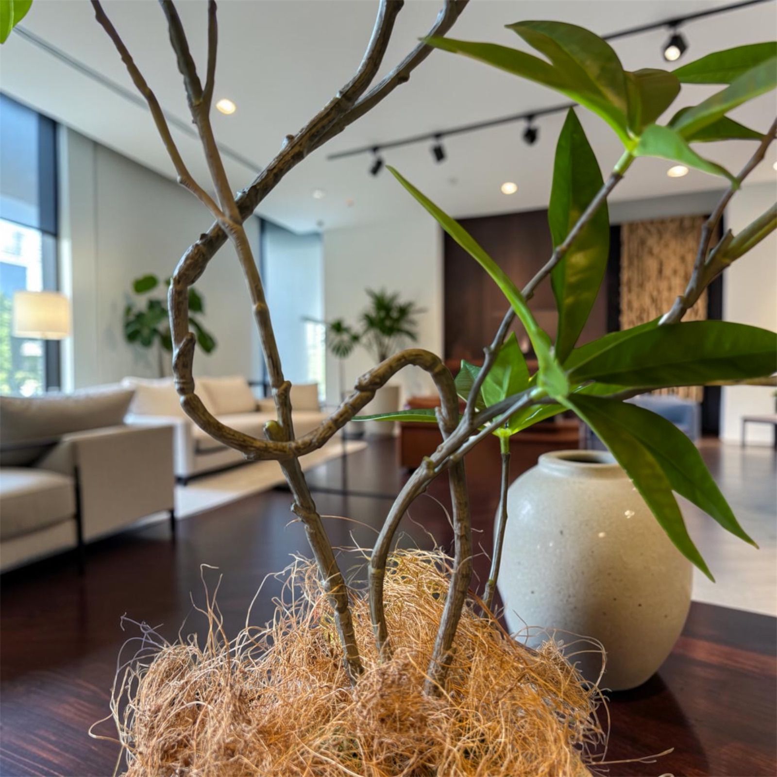 光触媒　人工観葉植物　ウォールグリーン　フェイクグリーン　ツイストパキラ2.1 光触媒 光の楽園 パキラリーフツリー72【インテリア フェイクグリーン