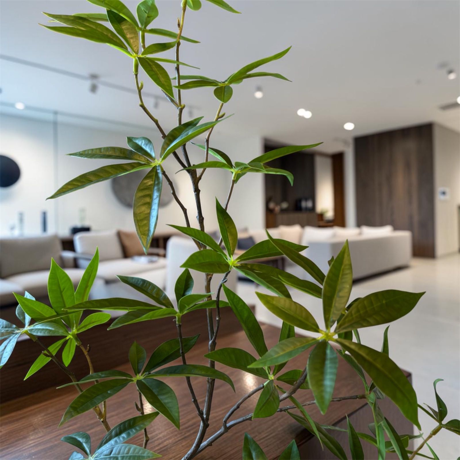 光触媒 人工観葉植物 ウォールグリーン フェイクグリーン ツイスト