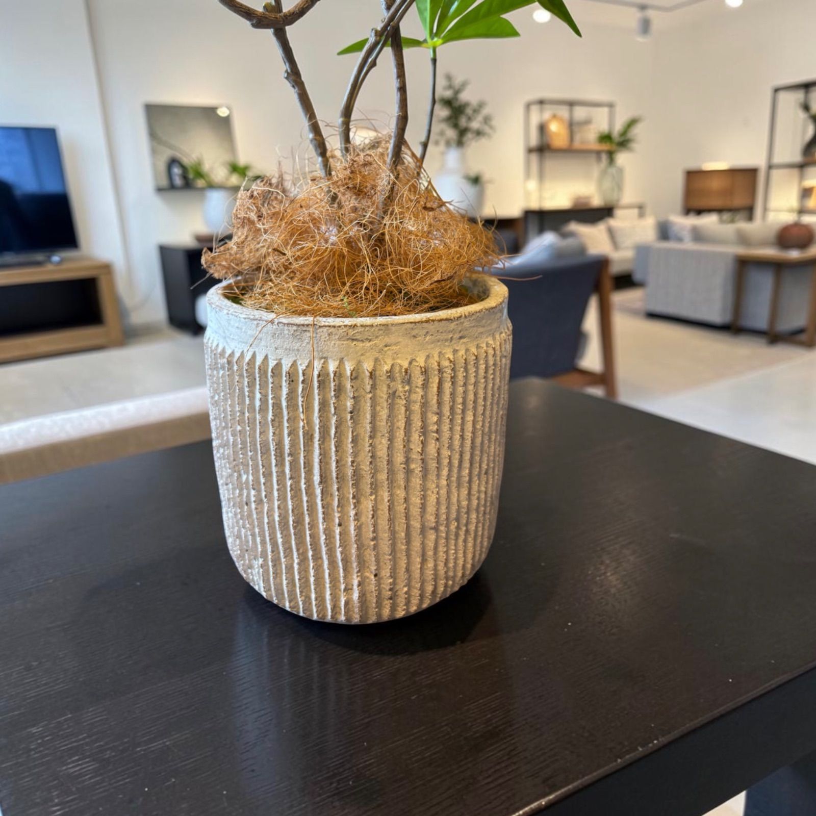 光触媒 人工観葉植物 ウォールグリーン フェイクグリーン ツイスト