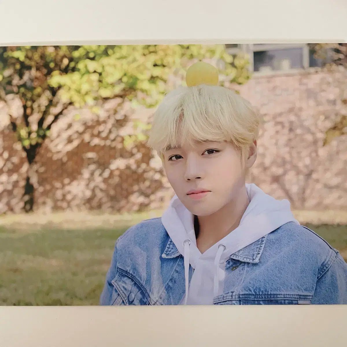 [PARK JIHOON] パクジフン シーグリ トレカ まとめ売り パク・ジフン(PARK JIHOON) シーグリ トレカ まとめ - メルカリ