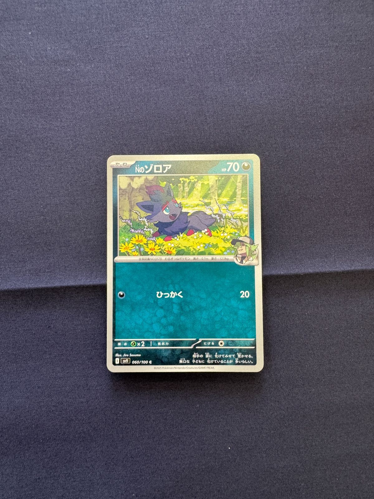 P100287(あく) ポケモンカード ゾロア 100枚 まとめ売り pokemon