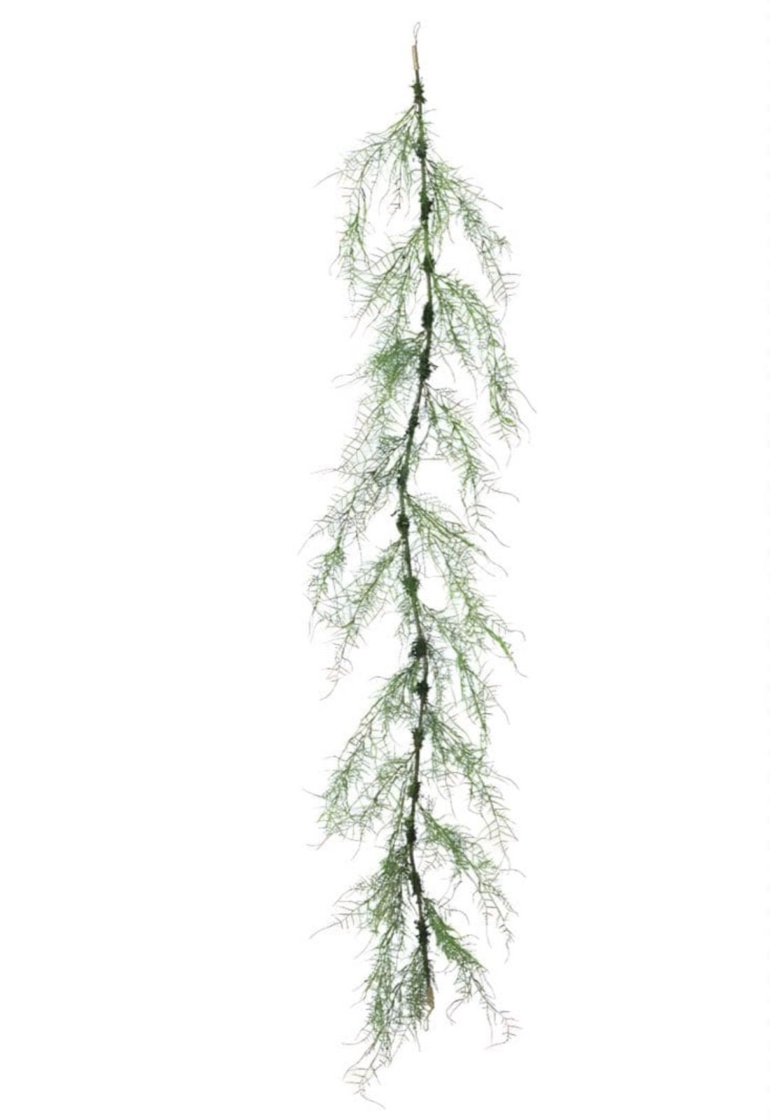 光触媒　人工観葉植物　ウォールグリーン　フェイクグリーン　アスパラガスガーランド 光触媒 人工観葉植物 ウォールグリーン フェイクグリーン アスパラガス