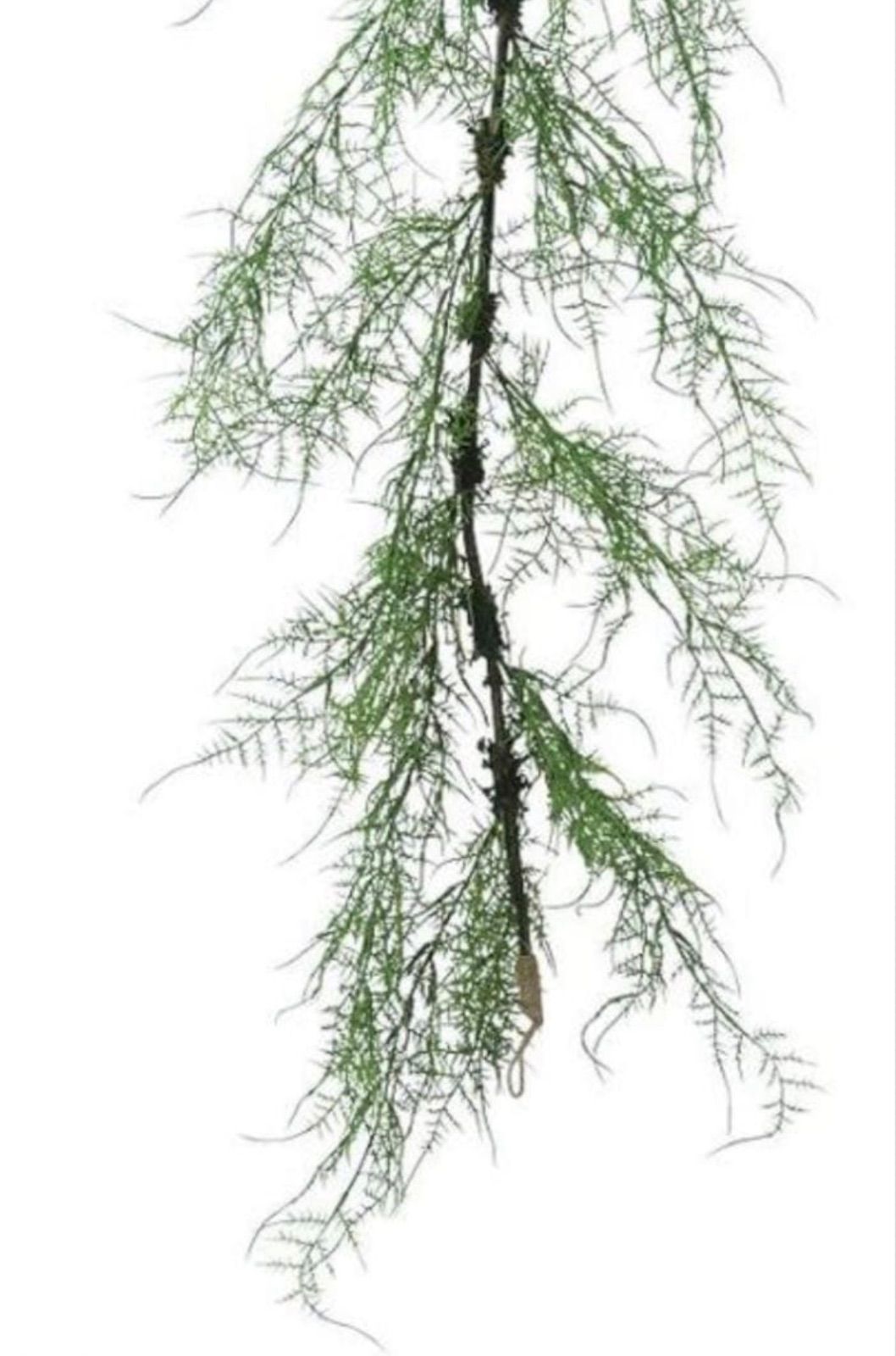 光触媒　人工観葉植物　ウォールグリーン　フェイクグリーン　アスパラガスガーランド 光触媒 人工観葉植物 ウォールグリーン フェイクグリーン アスパラガス