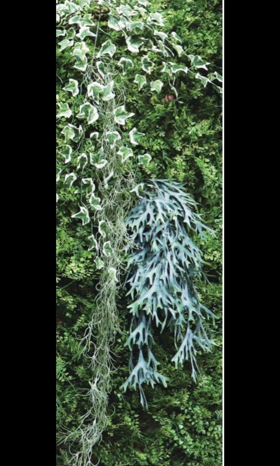 光触媒 人工観葉植物 ウォールグリーン フェイクグリーン アスパラガス
