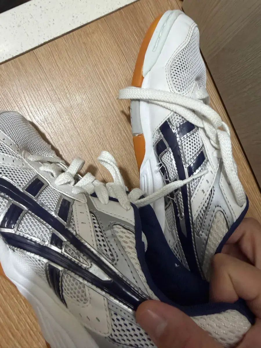 ローテリーブレ 260