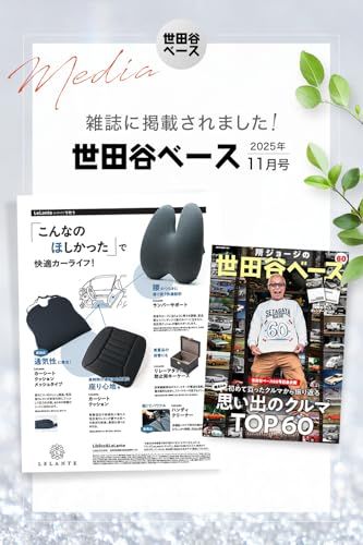 所ジョージの世田谷ベース掲載】 ハンディクリーナー ハンディ掃除機