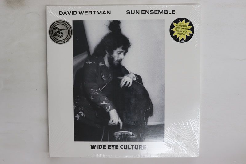 3discs LP David Wertman, Sun Ensemble Wide Eye Culture BBE635ALP BBE 未開封 /00920