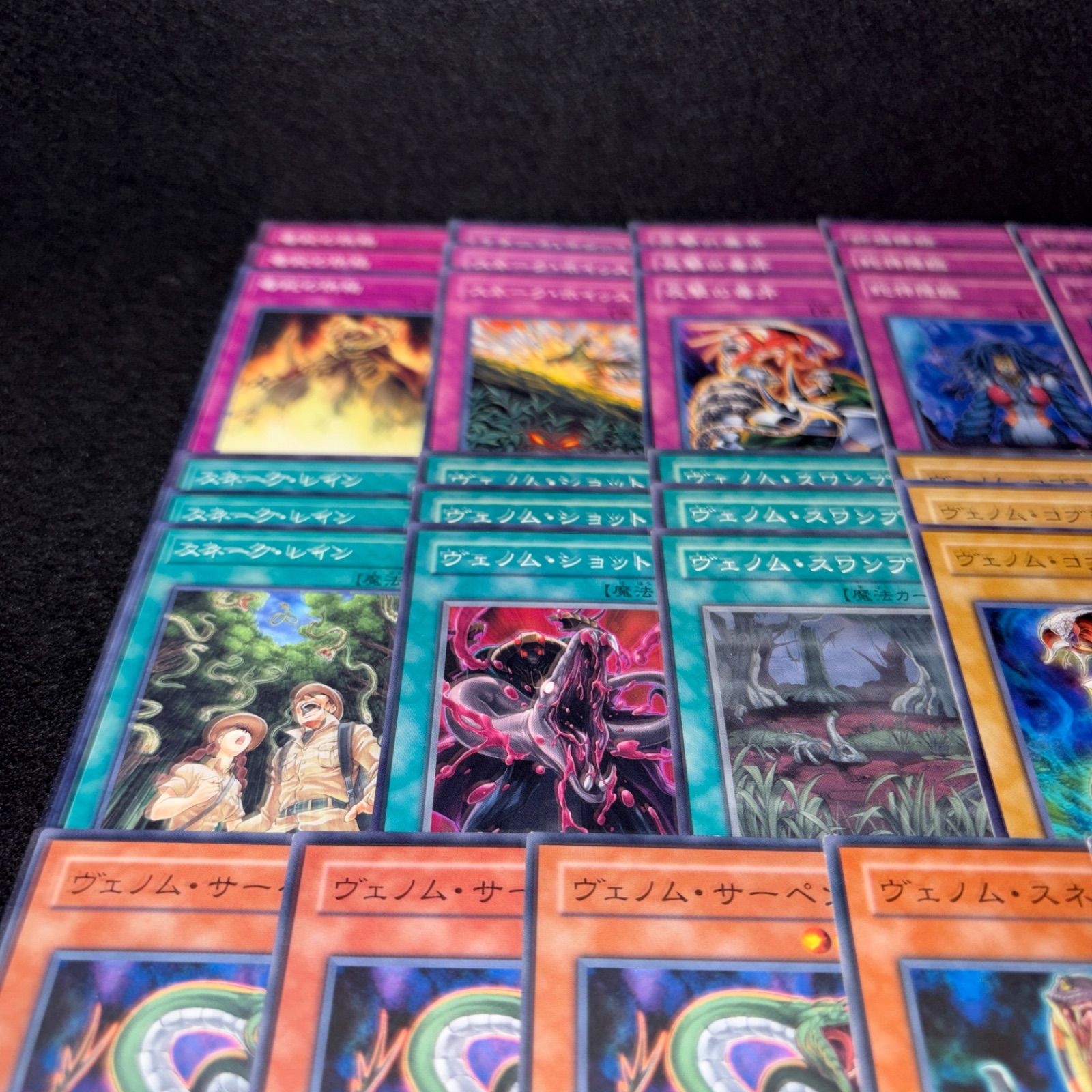 No.PP562 遊戯王 ヴェノム デッキパーツ プロフェッサーコブラ 毒蛇神