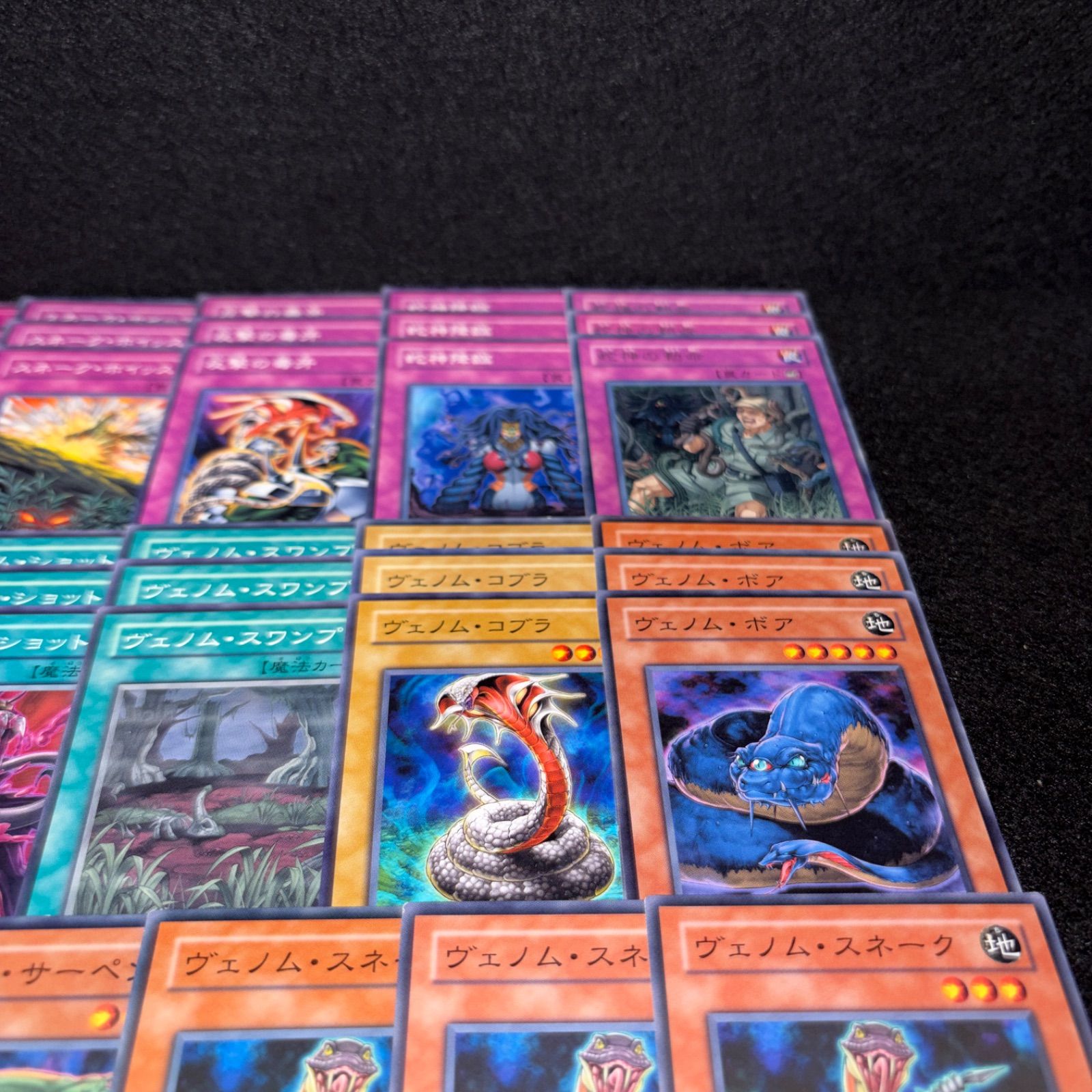 No.PP562 遊戯王 ヴェノム デッキパーツ プロフェッサーコブラ 毒蛇神