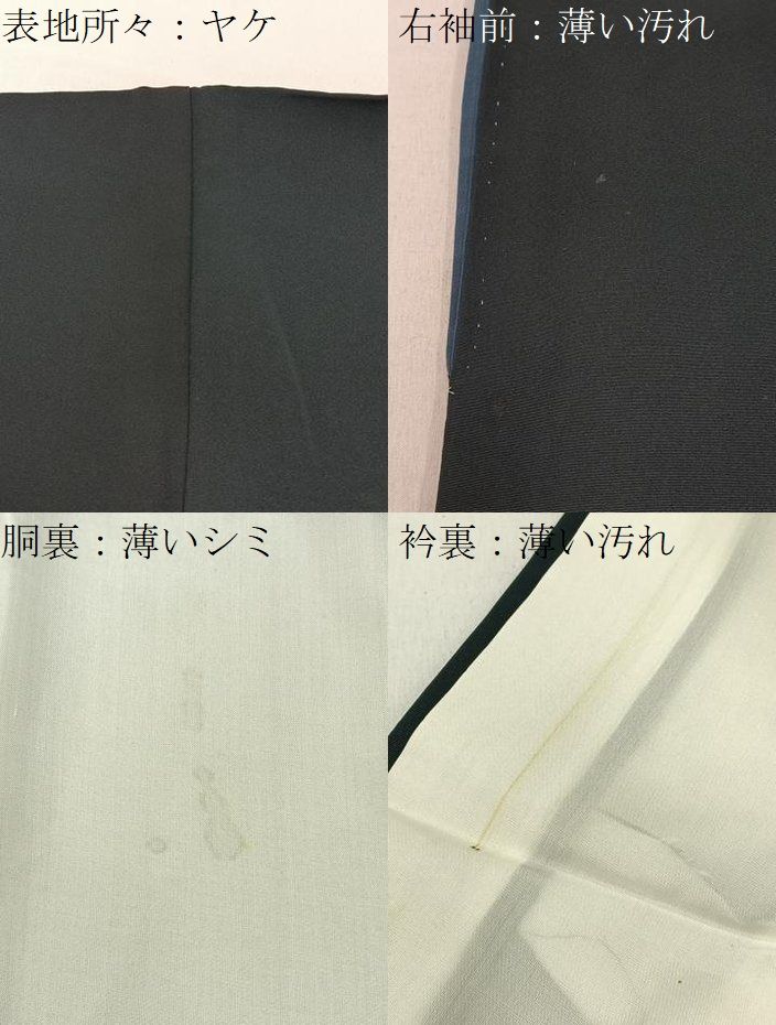 平和屋着物□訪問着 手描き 薔薇 濃紺地 金彩 正絹 逸品 BAAW9135hj