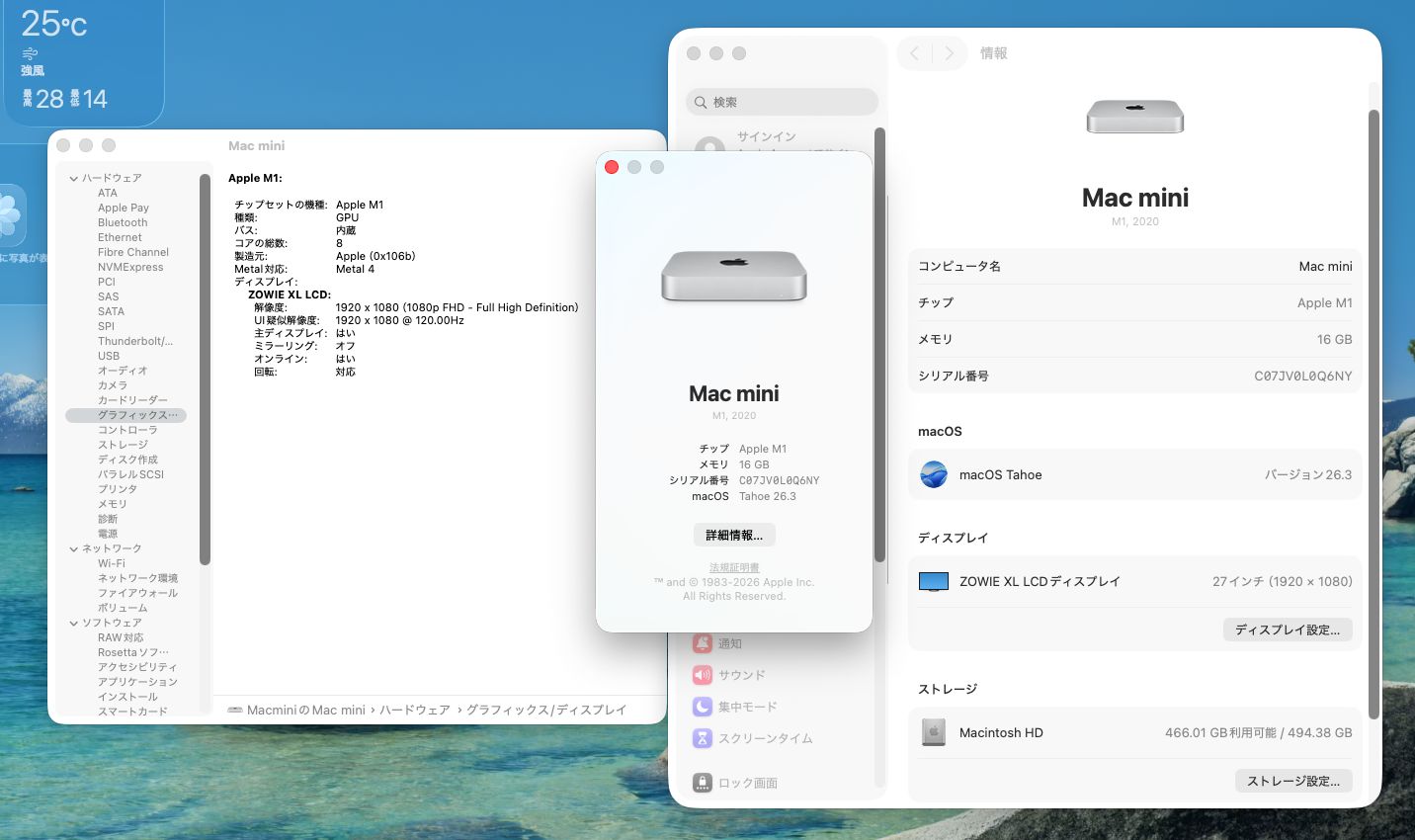 M16// Apple Macmini M1 2020 16GB / 512GB - メルカリ