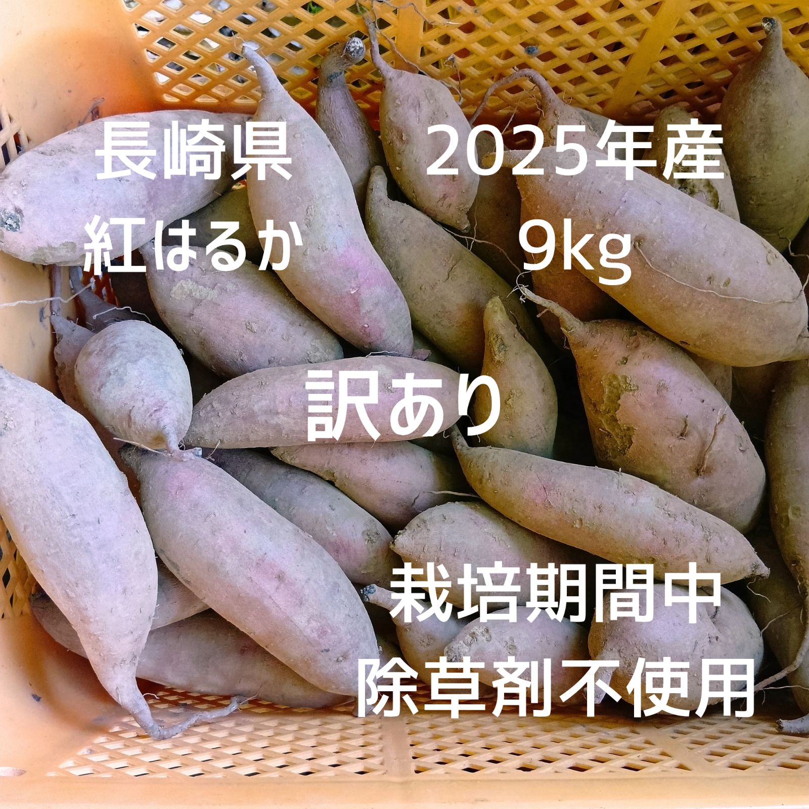訳あり】長崎県産 紅はるか 9kg 傷あり - メルカリ