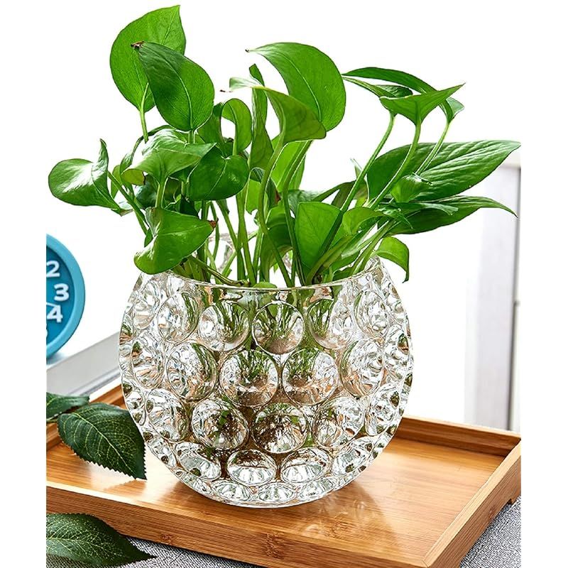 【新品】 AIVAR 丸型 ガラス 花瓶 ガラス花瓶 金魚鉢 花器 ガラス フラワーベース 花瓶 花器 ガラスベース ガラスボトル アレンジ インテリア 水栽培 生け花 造花 おしゃれ シンプル インテリア雑貨 飾り瓶 北欧 (透明-大きい) 1