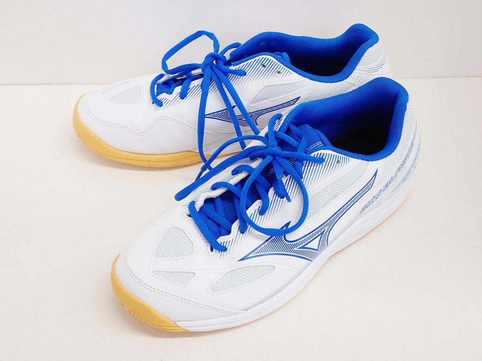 ★6706☆MIZUNO ミズノ SKY BLASTER 3 スカイブラスター 3 71GA2345 バドミントンシューズ　27㎝