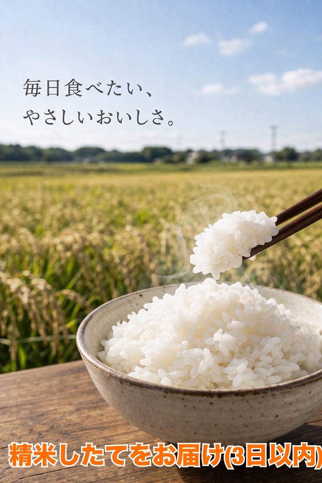 令和7年宮城県登米市産ひとめぼれ玄米10kg精米無料 小分け可 農家直送