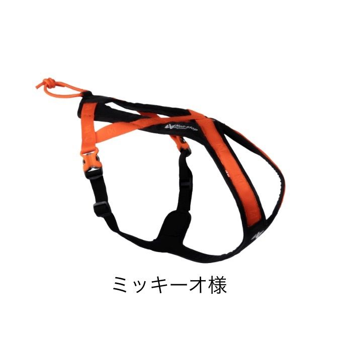 【オーダーアイテム】ミッキーオ様