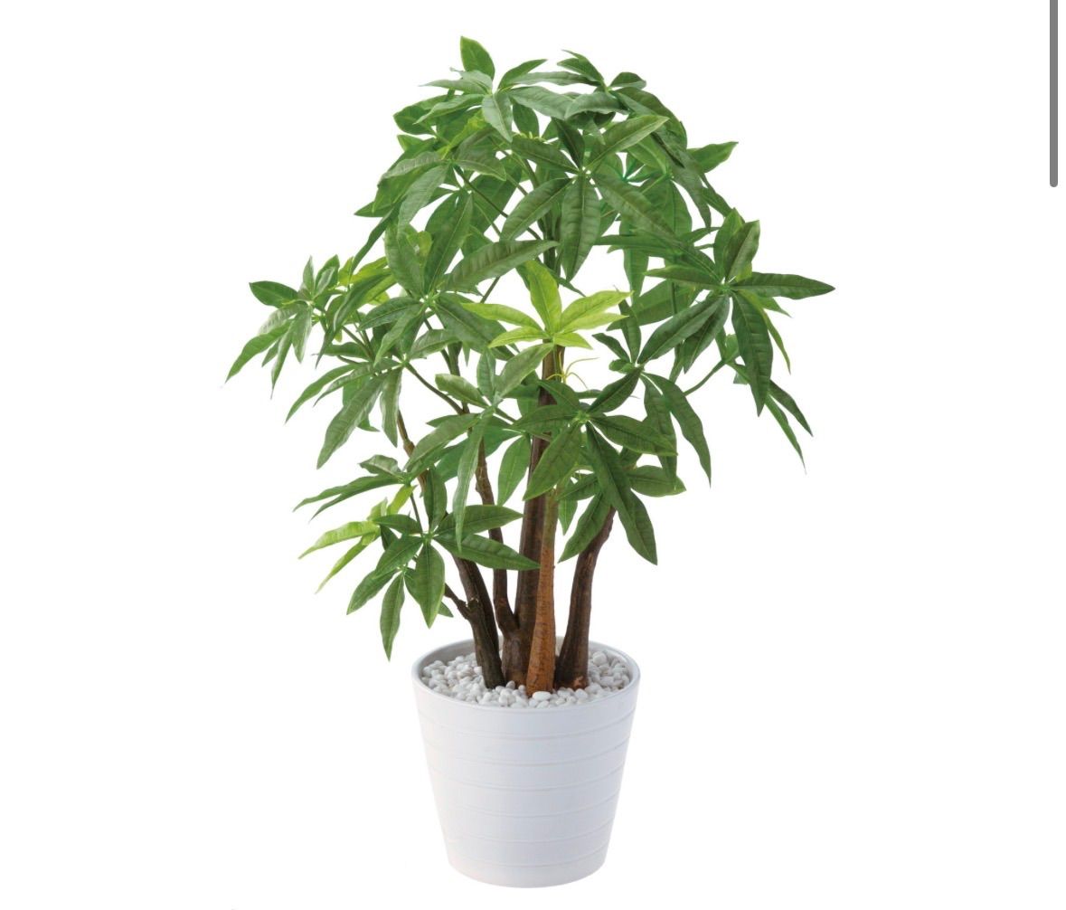 光触媒 人工観葉植物 ウォールグリーン フェイクグリーン パキラポット