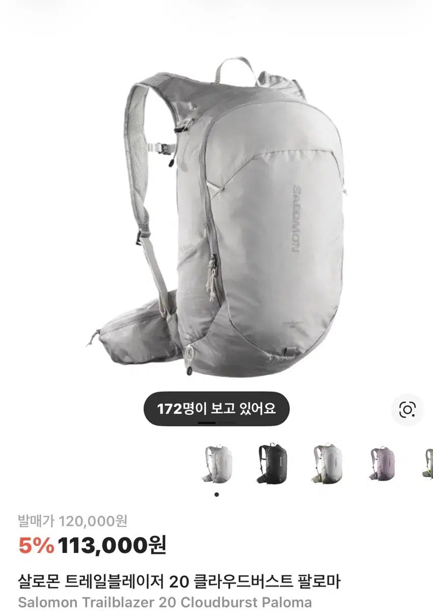 SALOMON サロモン トレイルブレーザー 20 バックパック グレー