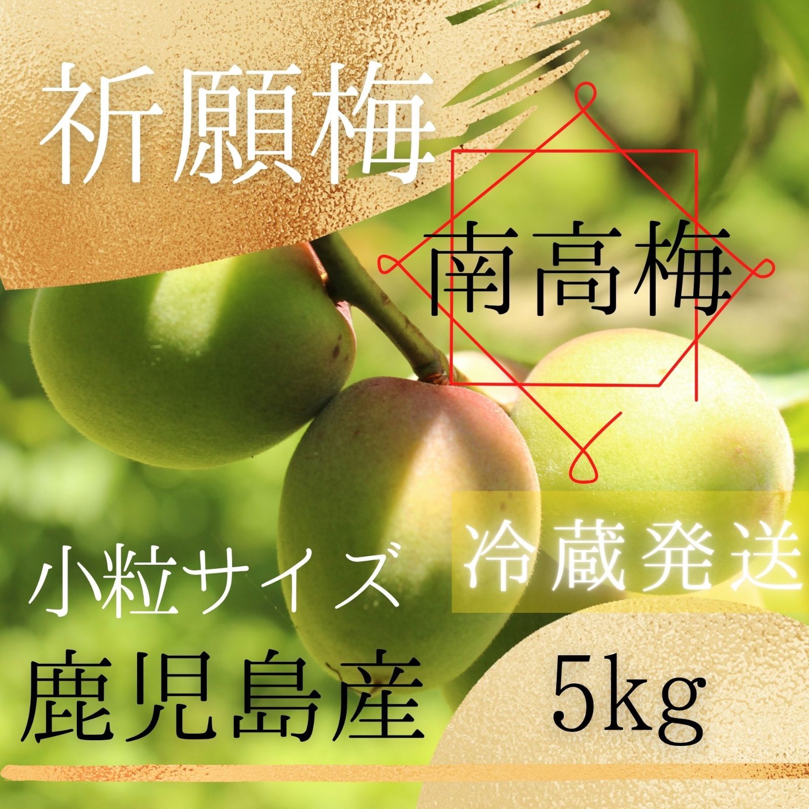 【南高梅】青梅 5キロ 鹿児島産 小粒サイズ 冷蔵便 栽培期間中農薬不使用