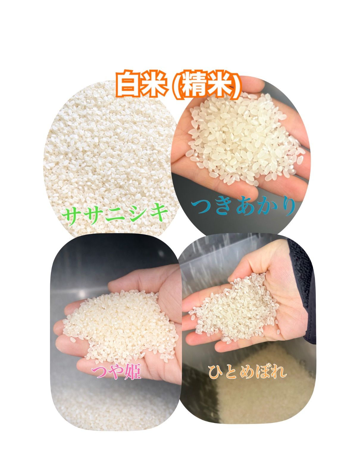 令和7年産 宮城登米産ひとめぼれ・つきあかり玄米10kg 食べ比べセット