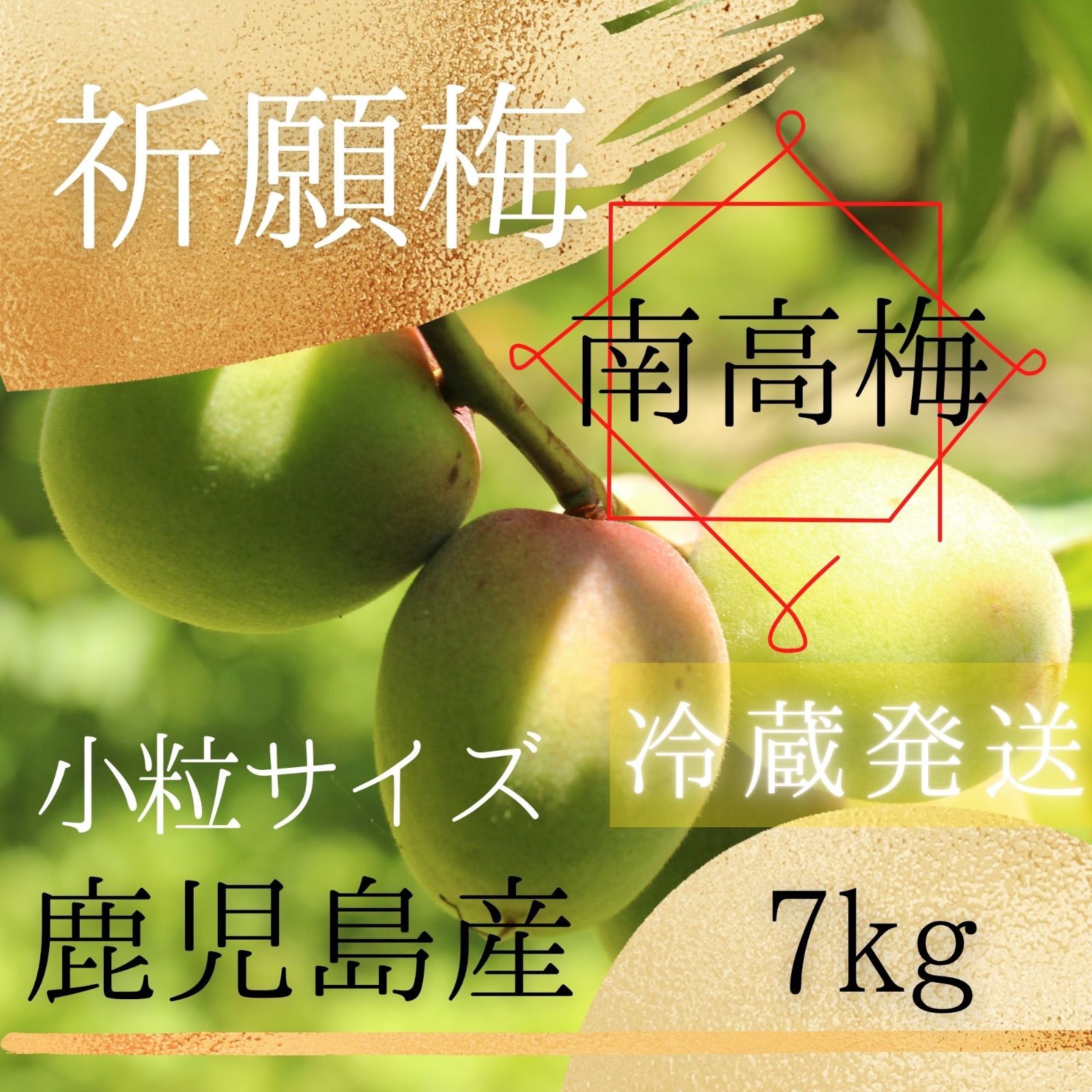 【南高梅】青梅 7キロ 鹿児島産 小粒サイズ 冷蔵便 栽培期間中農薬不使用