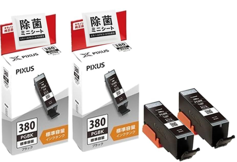 【純正品2個セット】 キャノン インクカートリッジ BCI-380PGBK ブラック 標準容量 2個セット