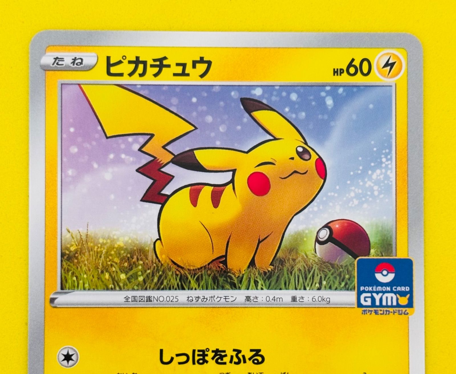 匿名配送】ポケモンカード☆ジムプロモ☆プロモ☆ピカチュウ☆しっぽを