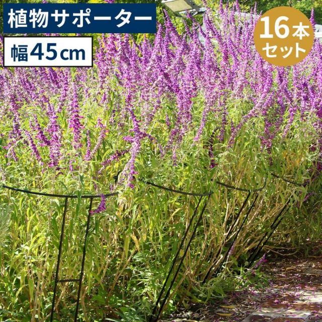 アイアン製植物サポーター 幅45 16本セット IF-N0047-16P