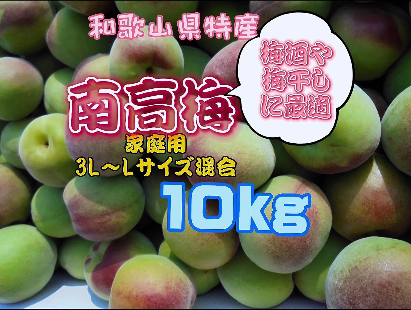 南高梅　10kg家庭用和歌山県産