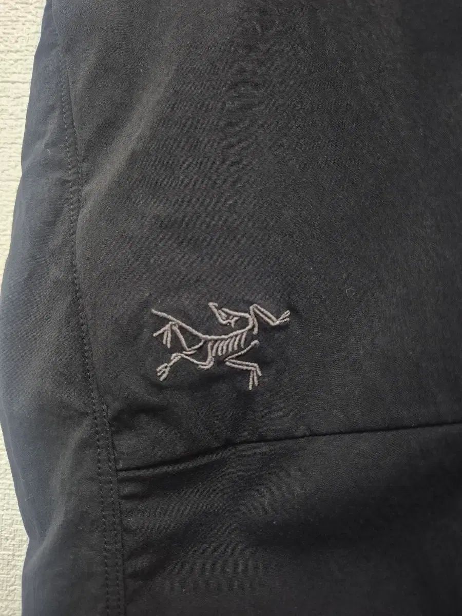 ARC'TERYX アークテリクス レディース サン ズボン パンツ (正規品)