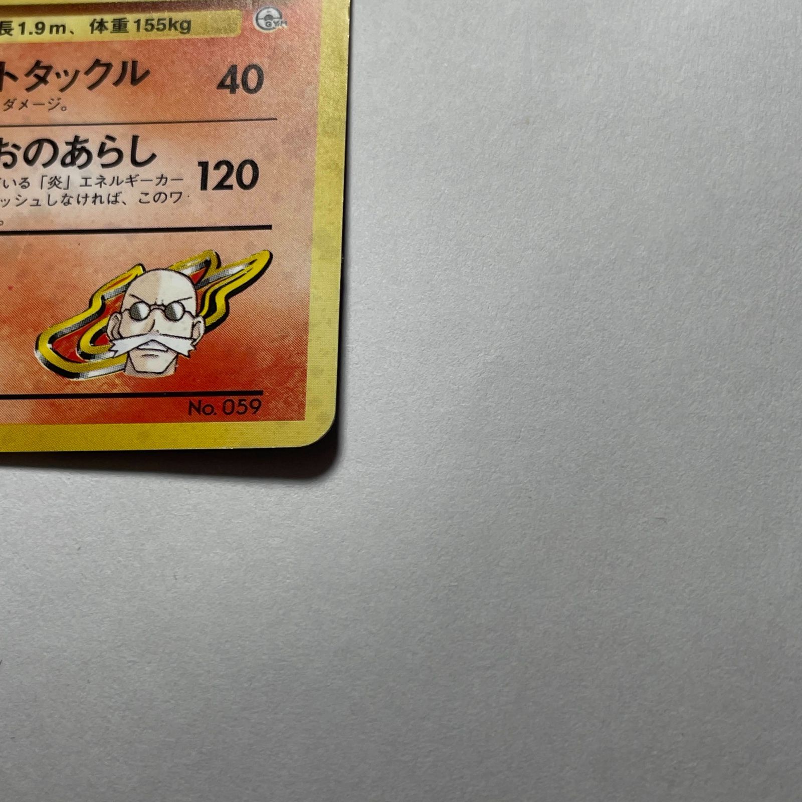 カツラのウィンディ ジムリーダーの切り札 Blaine's Arcanine Gym
