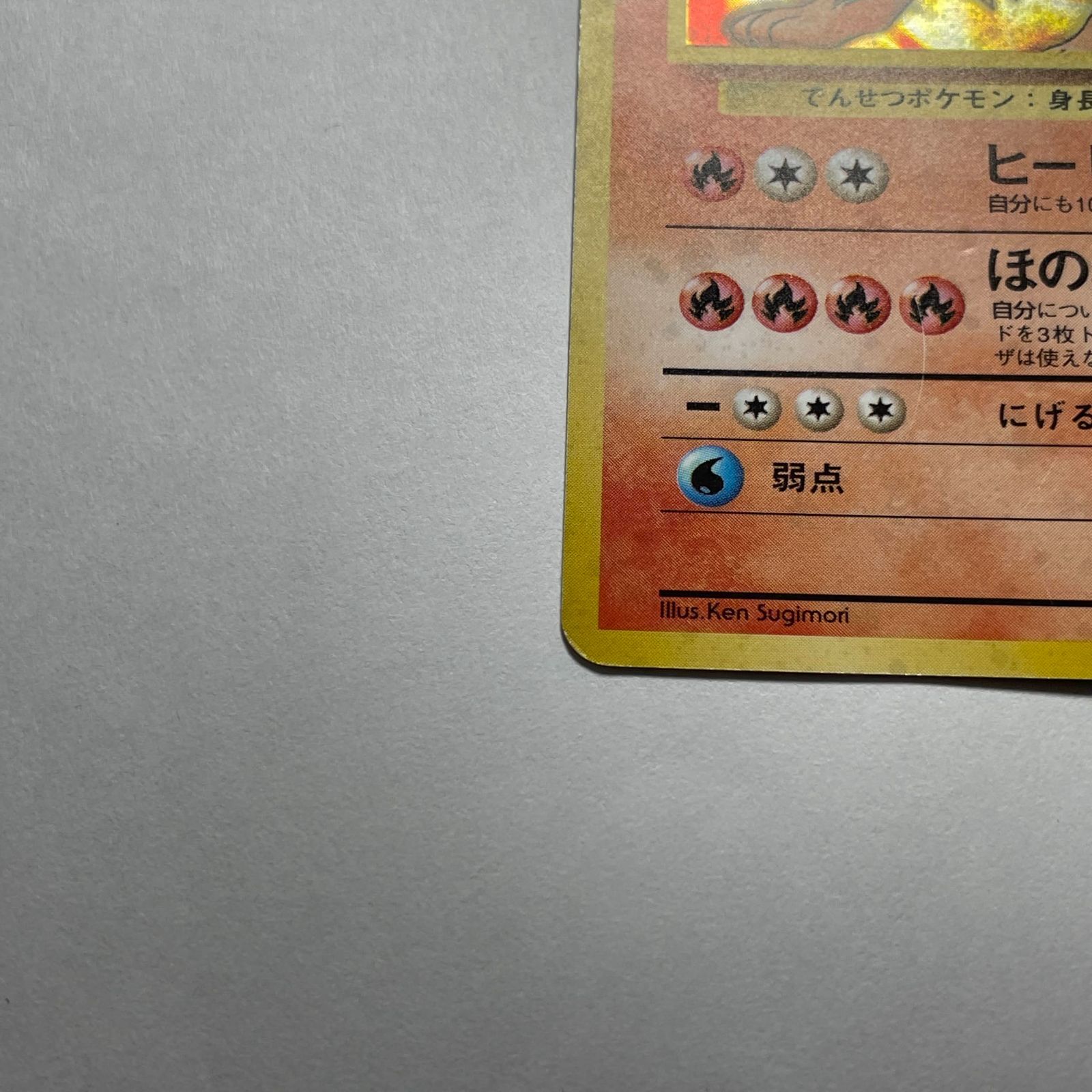 カツラのウィンディ ジムリーダーの切り札 Blaine's Arcanine Gym