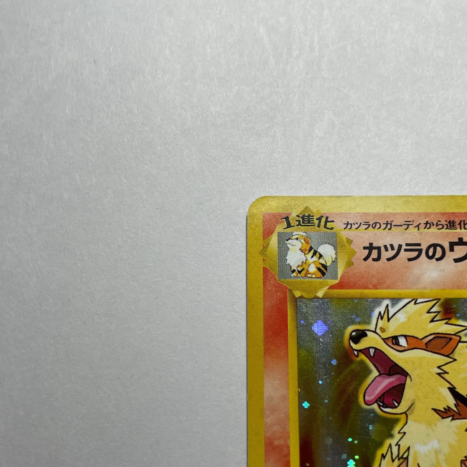カツラのウィンディ ジムリーダーの切り札 Blaine's Arcanine Gym