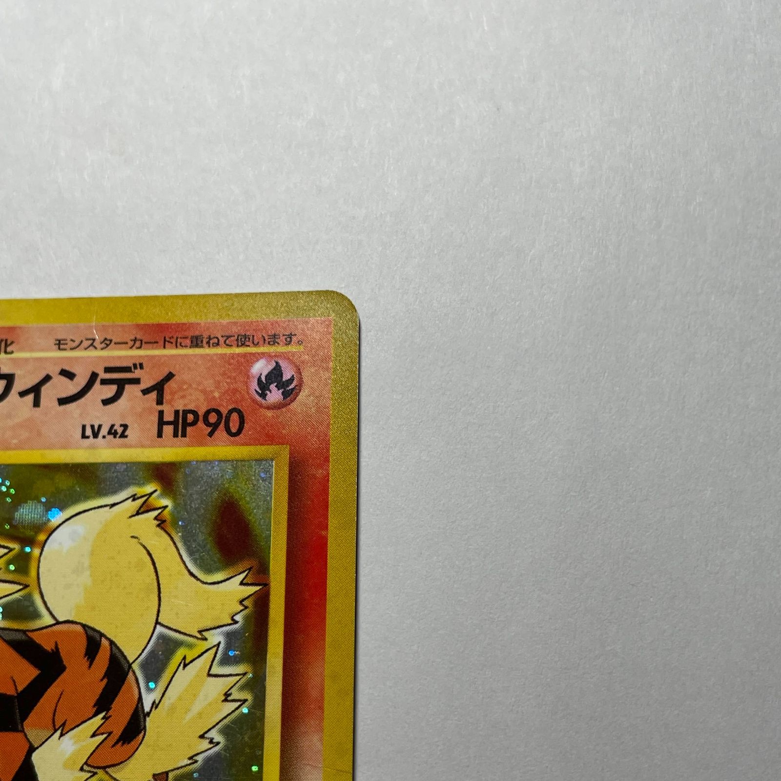 カツラのウィンディ ジムリーダーの切り札 Blaine's Arcanine Gym