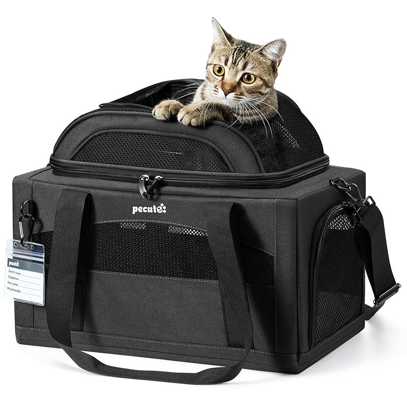 Pecute 猫 キャリー バッグ 上部拡張 折りたたみ ペットキャリー 小型犬用 飛び出し防止 軽量 通気性メッシュ 安定感 収納便利 お出かけ ドライブ 旅行 通院 防災 避難用 ダークグレー