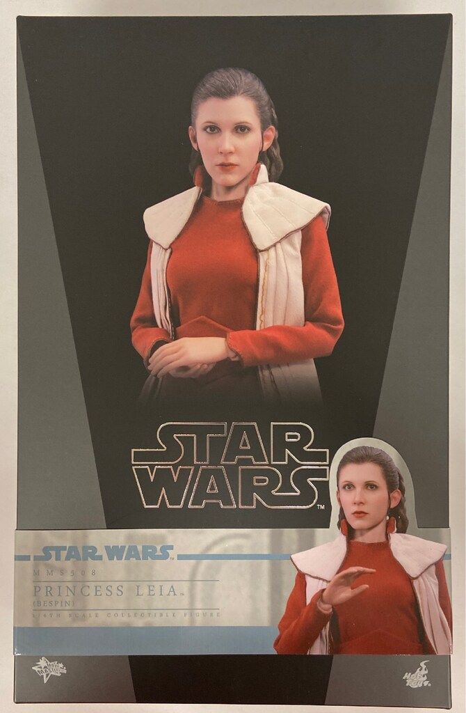 HOTTOYS MOVIE MASTERPIECE PRINCESS LEIA (BESPIN) MMS508